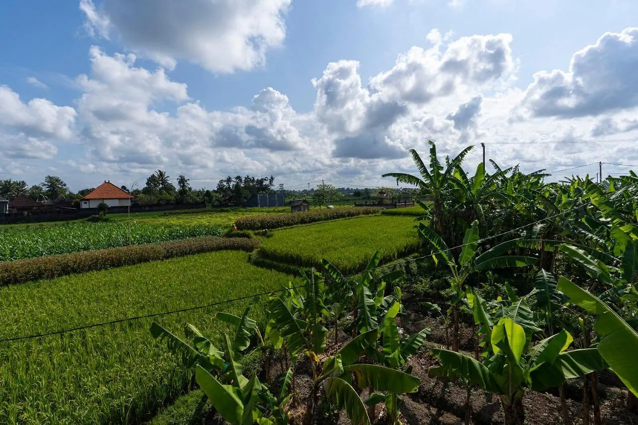 Villa Oemah Joglo Bali à Ubud